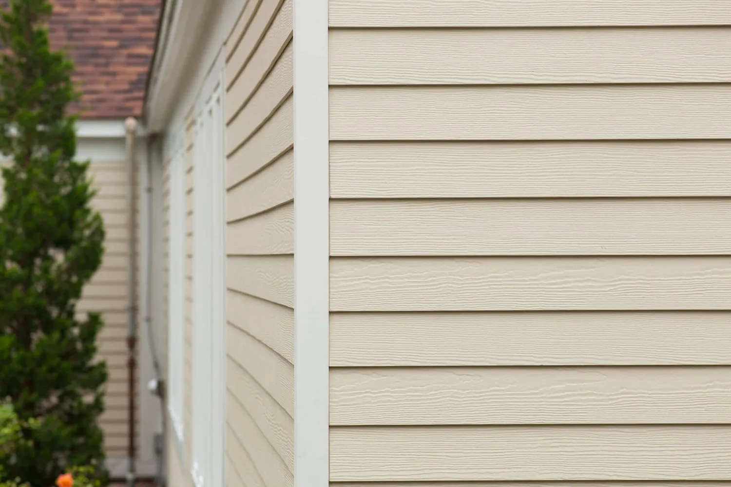 Vinyl siding close-up showing wood grain texture